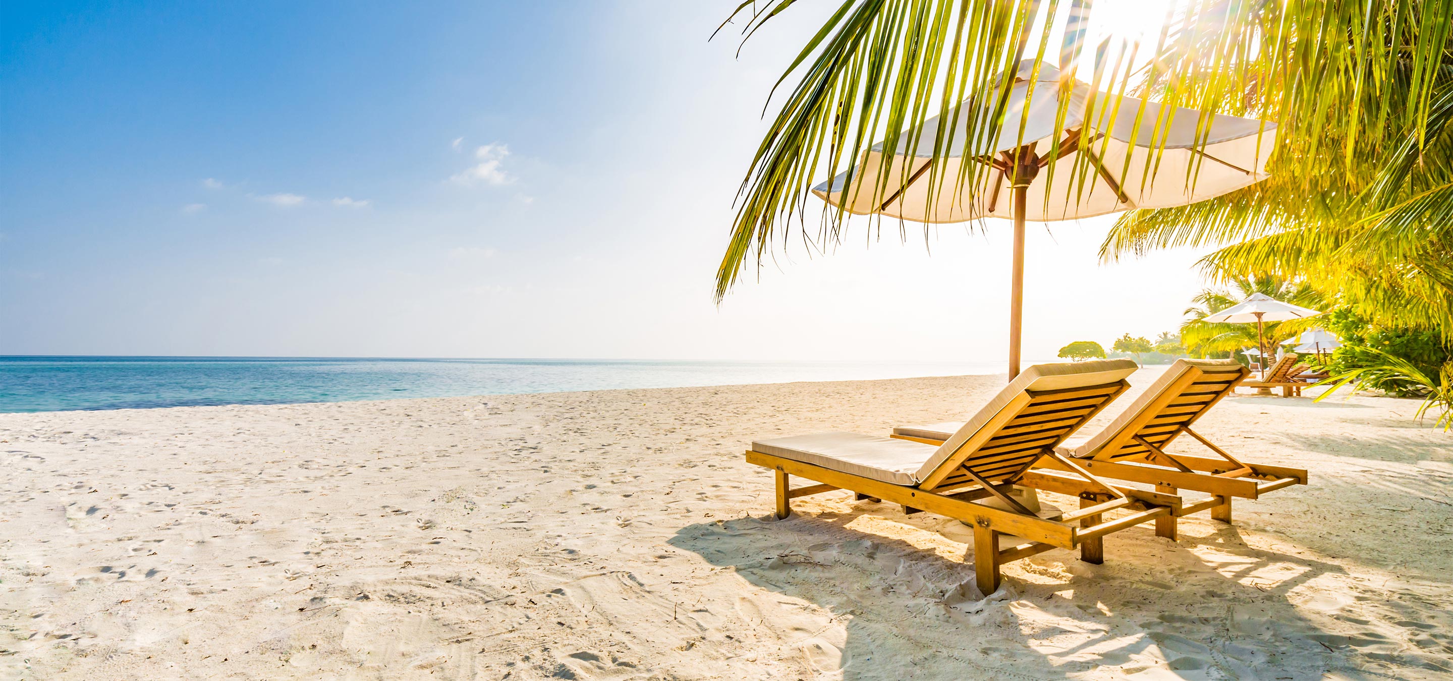 Hero Background Image