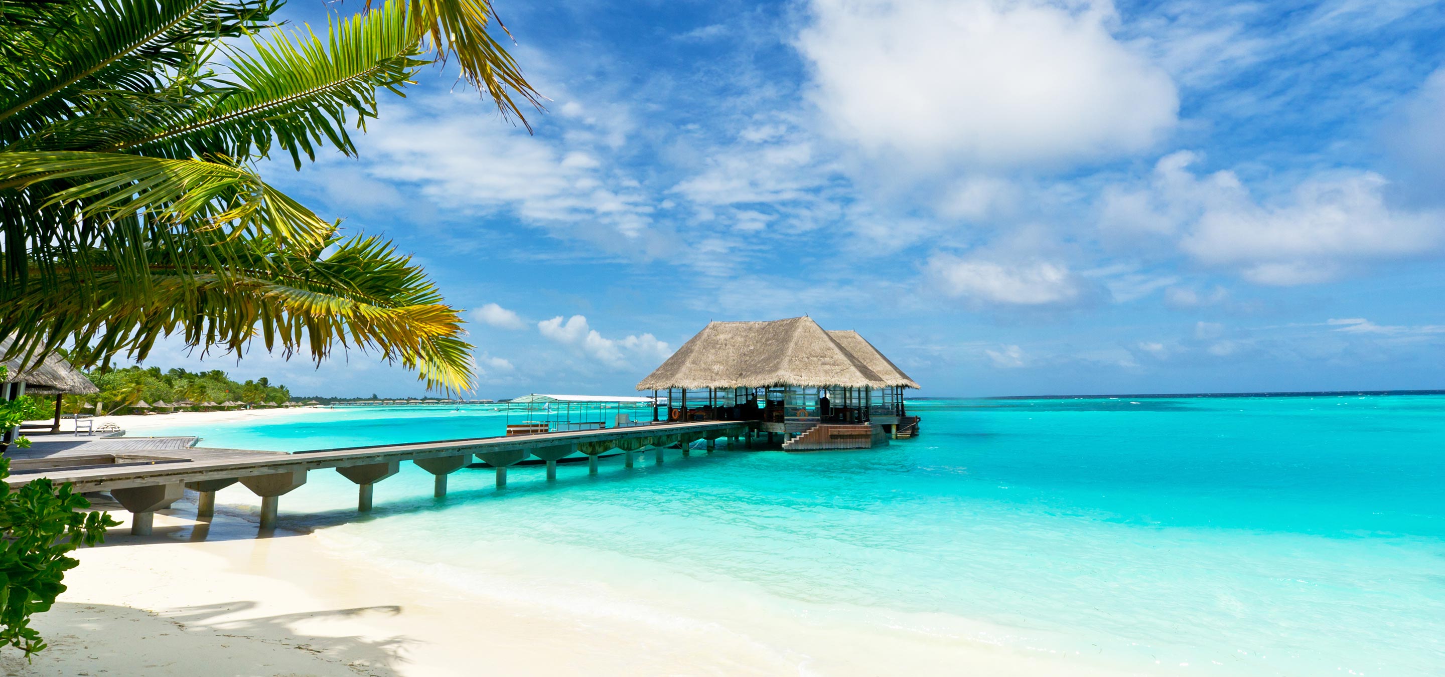 Hero Background Image